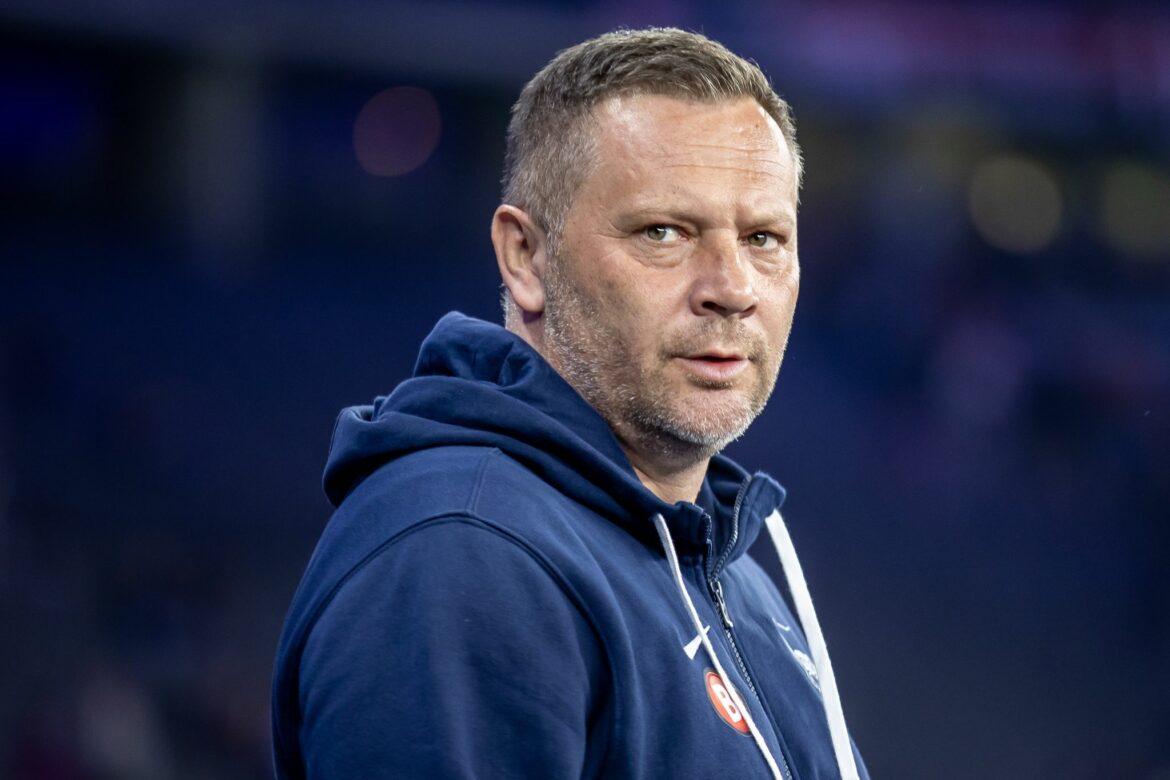 Medien: Dardai nach der Saison nicht mehr Trainer bei Hertha