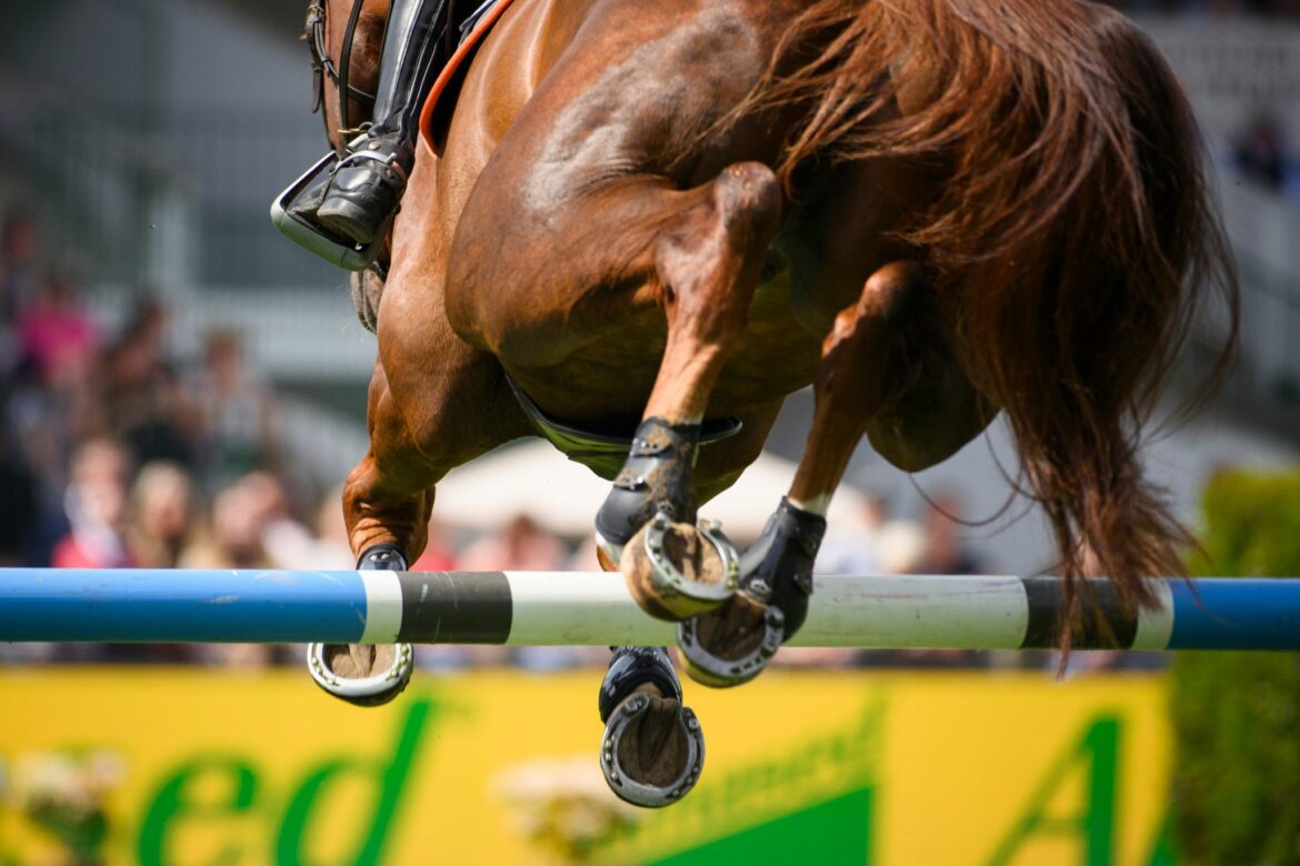 Löser gewinnt erste Prüfung der Springreiterinnen in Balve