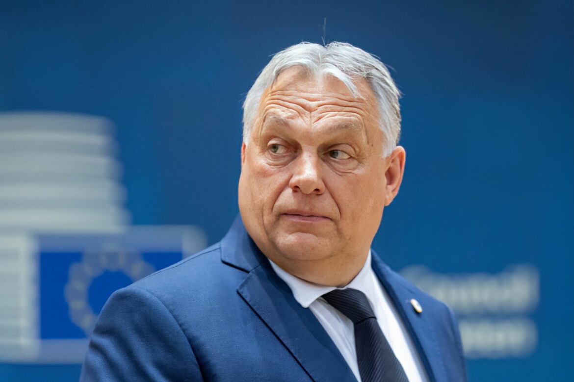 Bundeskanzler und Orban kommen zum Ungarn-Spiel