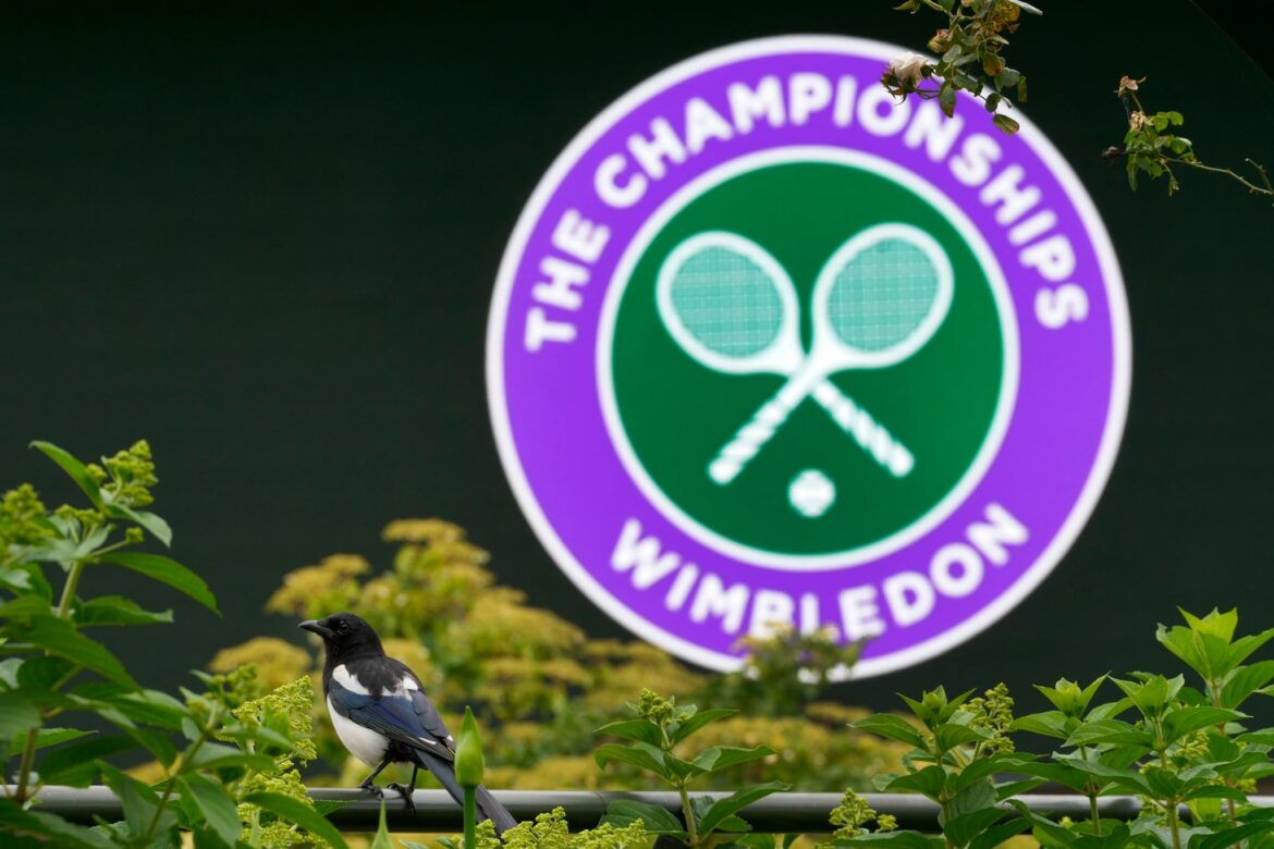 Sieben deutsche Wimbledon-Matches am Montag