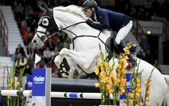 Springreiter Dreher triumphiert bei Weltcup in Mechelen