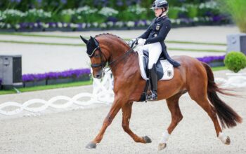 Spanier gewinnt Kür bei Reitturnier in der Festhalle