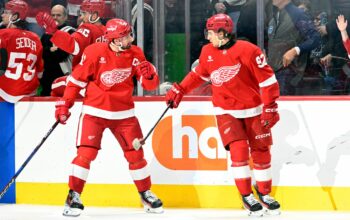 Seiders Red Wings bauen NHL-Siegesserie aus