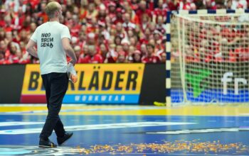 Protest bei Handball-WM: Trainer schubst Störer vom Feld