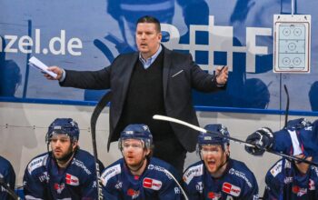 Ära zu Ende: Straubing Tigers trennen sich von Trainer Pokel